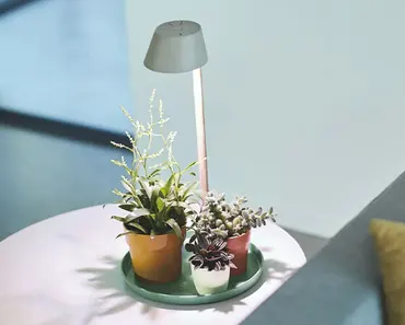 Plant Light Care 11cm Glacier (Grey) - image 4