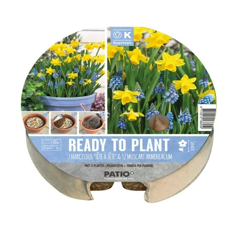 Plant-O-Mat Tray Ø 24 Cm Narcissussus & Muscari