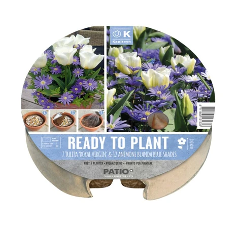 Plant-O-Mat Tray Ø 24 Cm Tulipa & Anemone