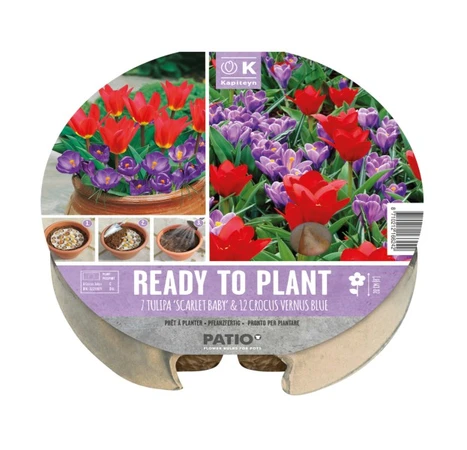 Plant-O-Mat Tray Ø 24 Cm Tulipa & Crocusses