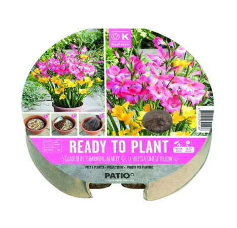 Plant-O-Mat Tray Gladiolus & FreeNumber of Bulbs: 19 bulbs Planting Period: March to May Plantingsia