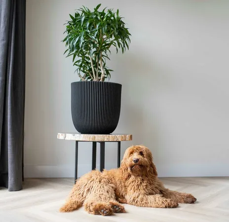 Planter Ball Groove NL Anthracite 35x34 - image 2