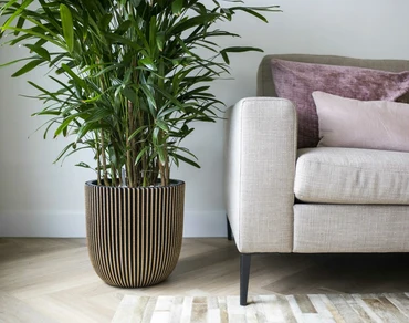 Planter Ball Groove NL Black Gold 54x52  - image 2