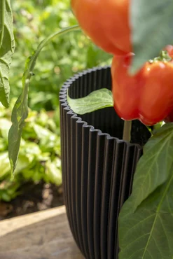 Planter Ball Groove Textile Black - image 2