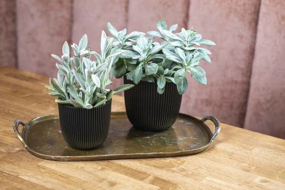 Planter Ball Groove Textile Black - image 3