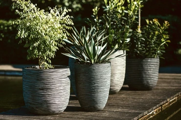 Planter Ball Rib NL Anthracite 35x34 - image 2