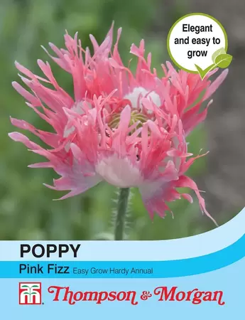 Poppy Pink Fizz