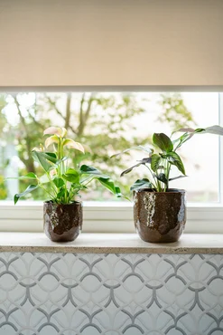 Pot Brian Desert D14 H13 - image 6