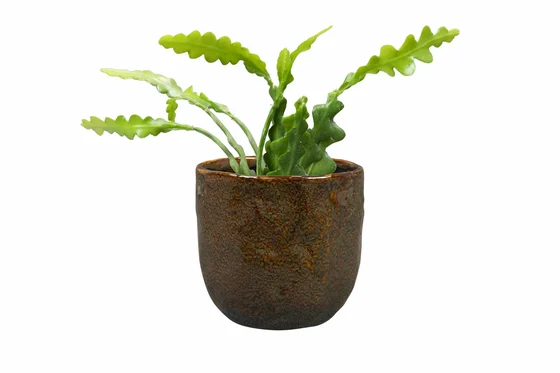 Pot Brian Desert D14 H13 - image 4