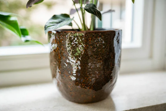 Pot Brian Desert D17 H14 - image 3