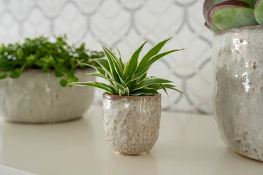 Pot Brian Ivory D17 H14 - image 2