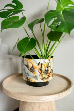 Pot Camelia Charm D22 H20 - image 2