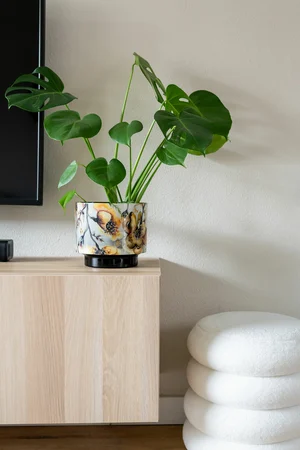 Pot Camelia Charm D22 H20 - image 3