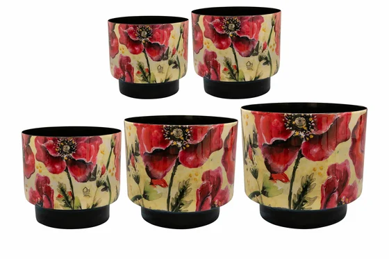 Pot Camelia Poppy D20 H19 - image 4