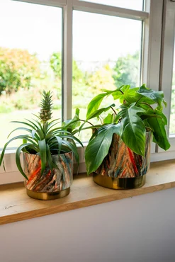 Pot Celia Blush Gold D16 H14 - image 3