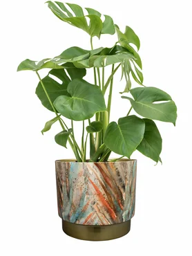 Pot Celia Blush Gold D23 H21 - image 4