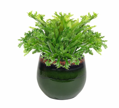 Pot Charlotte Green D19 H16 - image 2