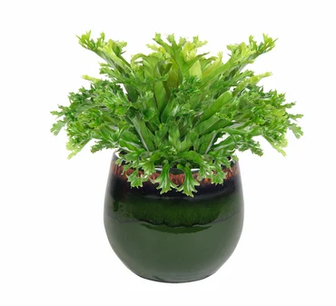 Pot Charlotte Green D19 H16 - image 2
