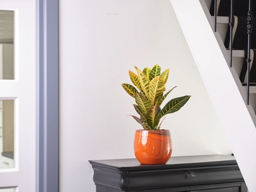 Pot Charlotte Orange D15 H13 - image 3