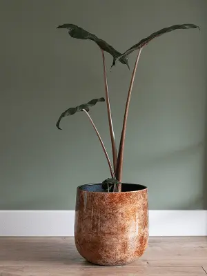 Pot Cilia Latte D44 H40 - image 3
