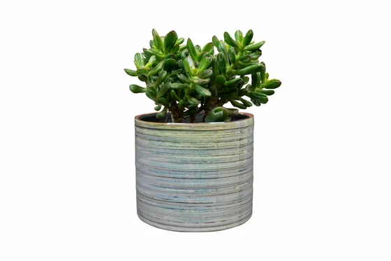 Pot Didi Pearl Blue D14 H13 - image 3