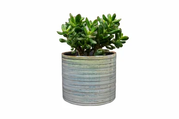 Pot Didi Pearl Blue D14 H13 - image 3