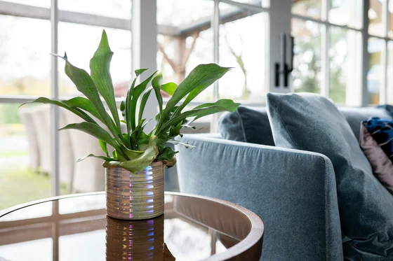 Pot Didi Pearl Blue D19 H16 - image 2