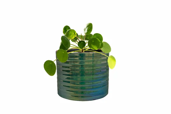 Pot Didi Pearl Green D11 H11 - image 3