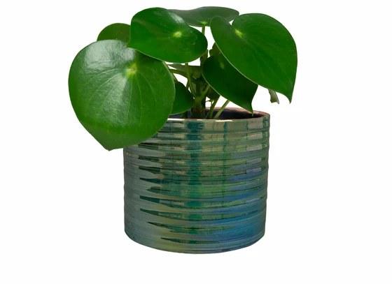 Pot Didi Pearl Green D19 H16 - image 3