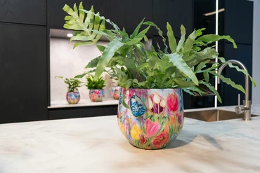 Pot Dutch Beauty Spring D28 H25 - image 3