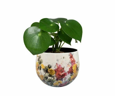 Pot Floral White D15 H13 - image 3