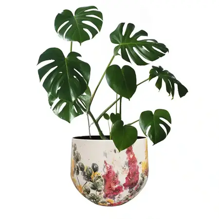 Pot Floral White D24 H21 - image 2