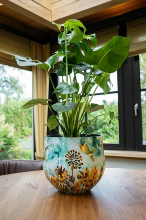 Pot Fresia Fresh D24 H21 - image 2