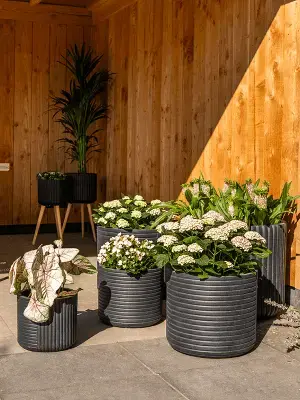 Pot Gabi Black D26 H24 - image 2