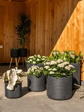 Pot Gabi Black D26 H24 - image 2