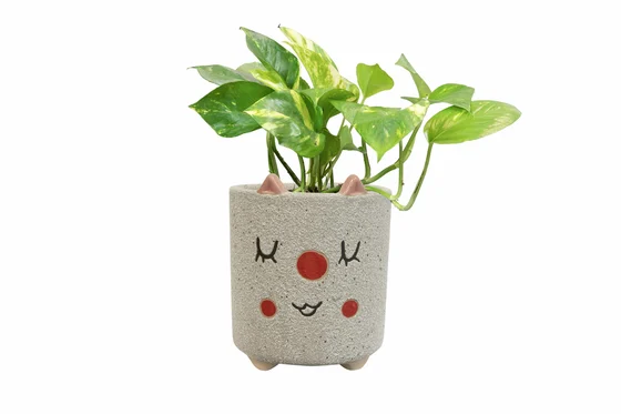 Pot Happy Ivory D8 H8 - image 3