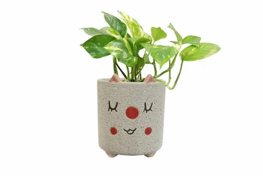 Pot Happy Ivory D8 H8 - image 3