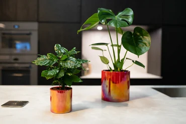 Pot Jille Red D11 H11 - image 3