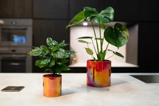 Pot Jille Red D14 H13 - image 3