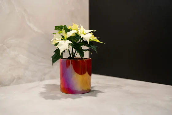 Pot Jille Red D8 H8 - image 2