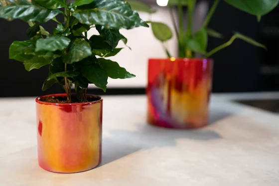 Pot Jille Red D8 H8 - image 3