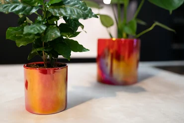 Pot Jille Red D8 H8 - image 3