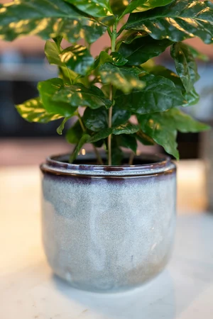 Pot Mabel Ice Blue D21 H17 - image 3