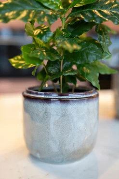 Pot Mabel Ice Blue D21 H17 - image 3