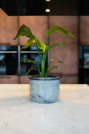 Pot Mabel Ice Blue D23 H20 - image 3