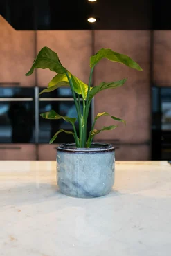 Pot Mabel Ice Blue D23 H20 - image 3