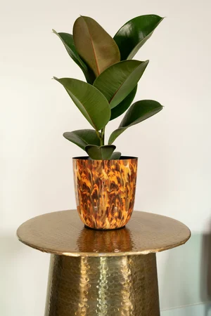 Pot Mayk Colour Vibes D12 H13 - image 3