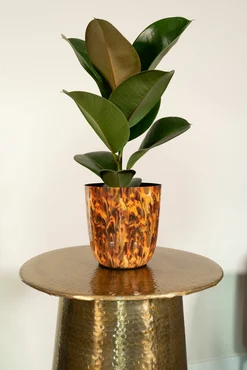 Pot Mayk Colour Vibes D12 H13 - image 3