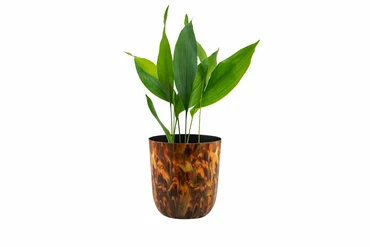 Pot Mayk Colour Vibes D12 H13 - image 2