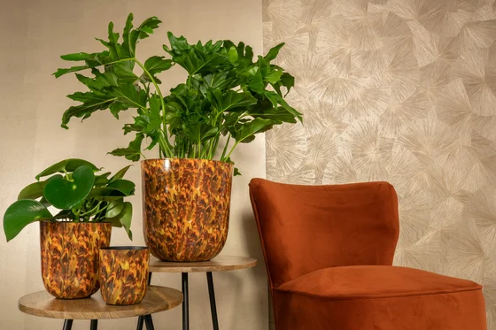 Pot Mayk Colour Vibes D20 H22 - image 2